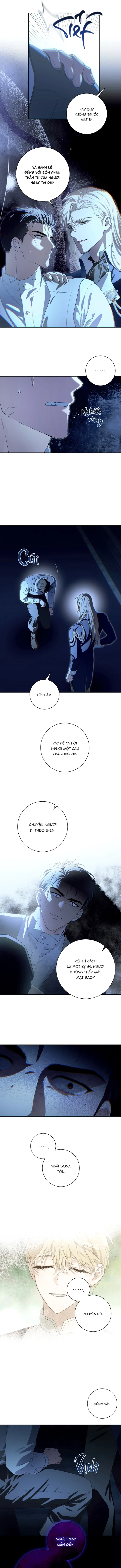 patera-chap-2-8