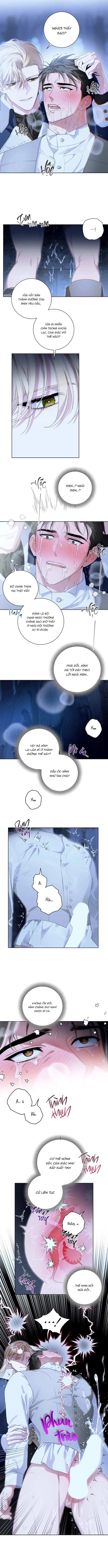 patera-chap-3-5