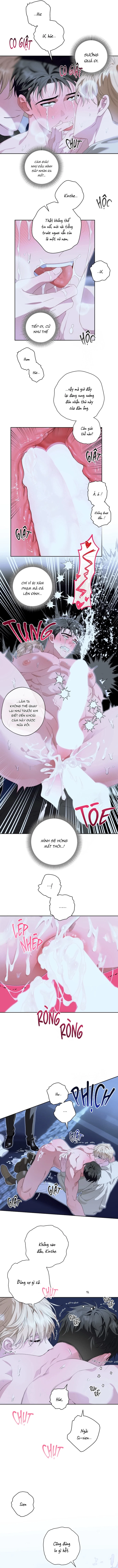 patera-chap-6-6