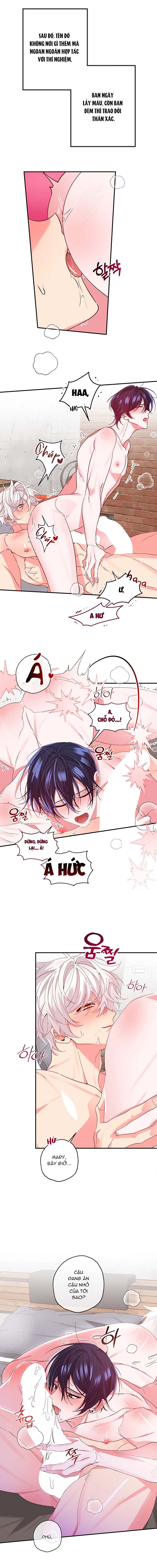 hoi-chung-nguoi-ca-chap-3-4