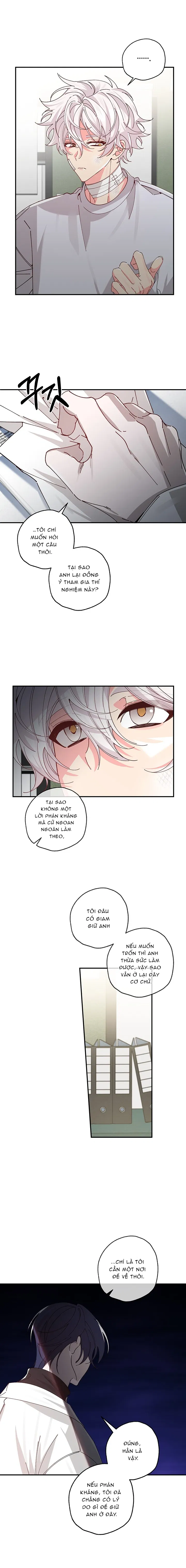 hoi-chung-nguoi-ca-chap-4-8