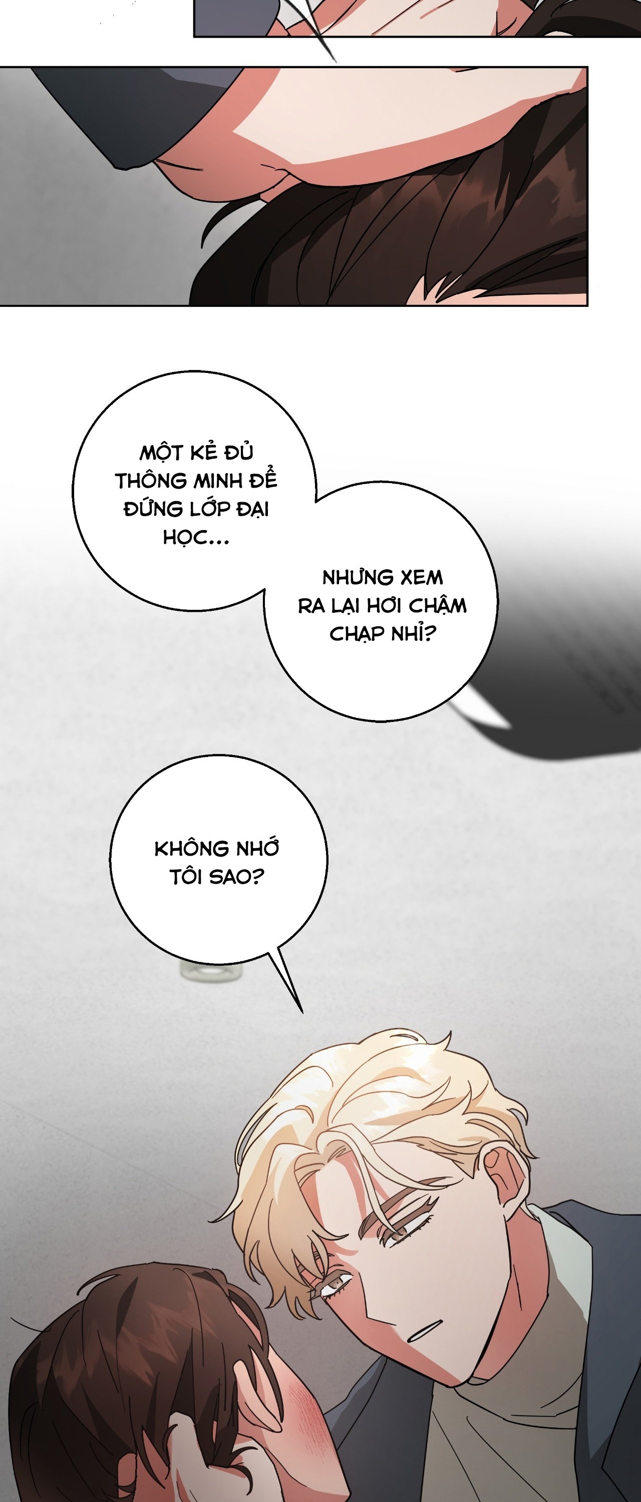 du-an-cai-tao-giao-su-chap-1-25