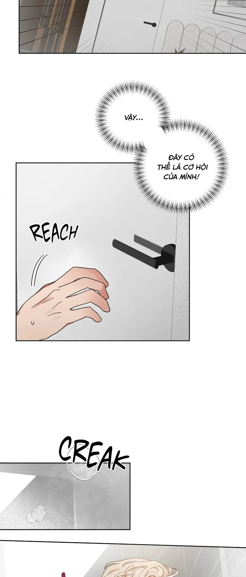 du-an-cai-tao-giao-su-chap-3-12