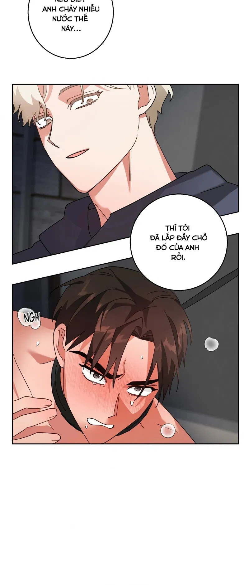 du-an-cai-tao-giao-su-chap-4-3