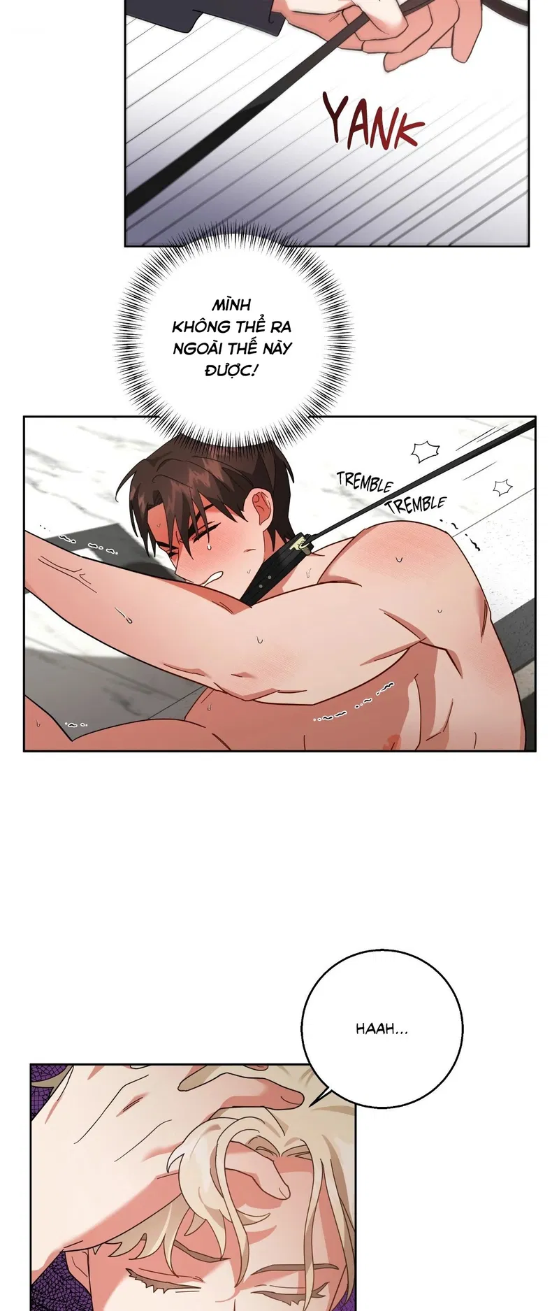 du-an-cai-tao-giao-su-chap-4-8