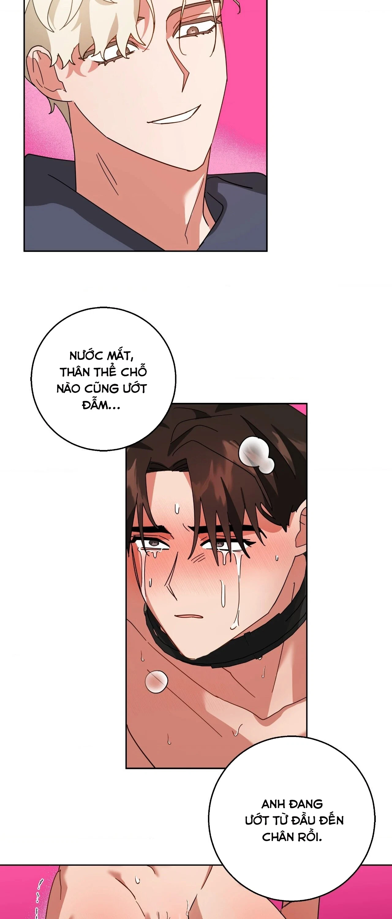 du-an-cai-tao-giao-su-chap-4-24