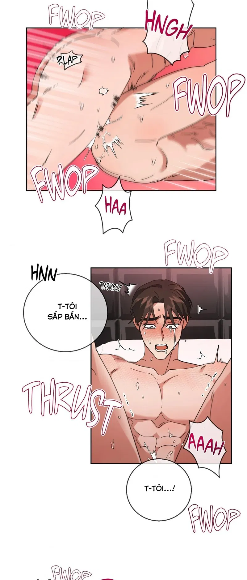 du-an-cai-tao-giao-su-chap-8-26