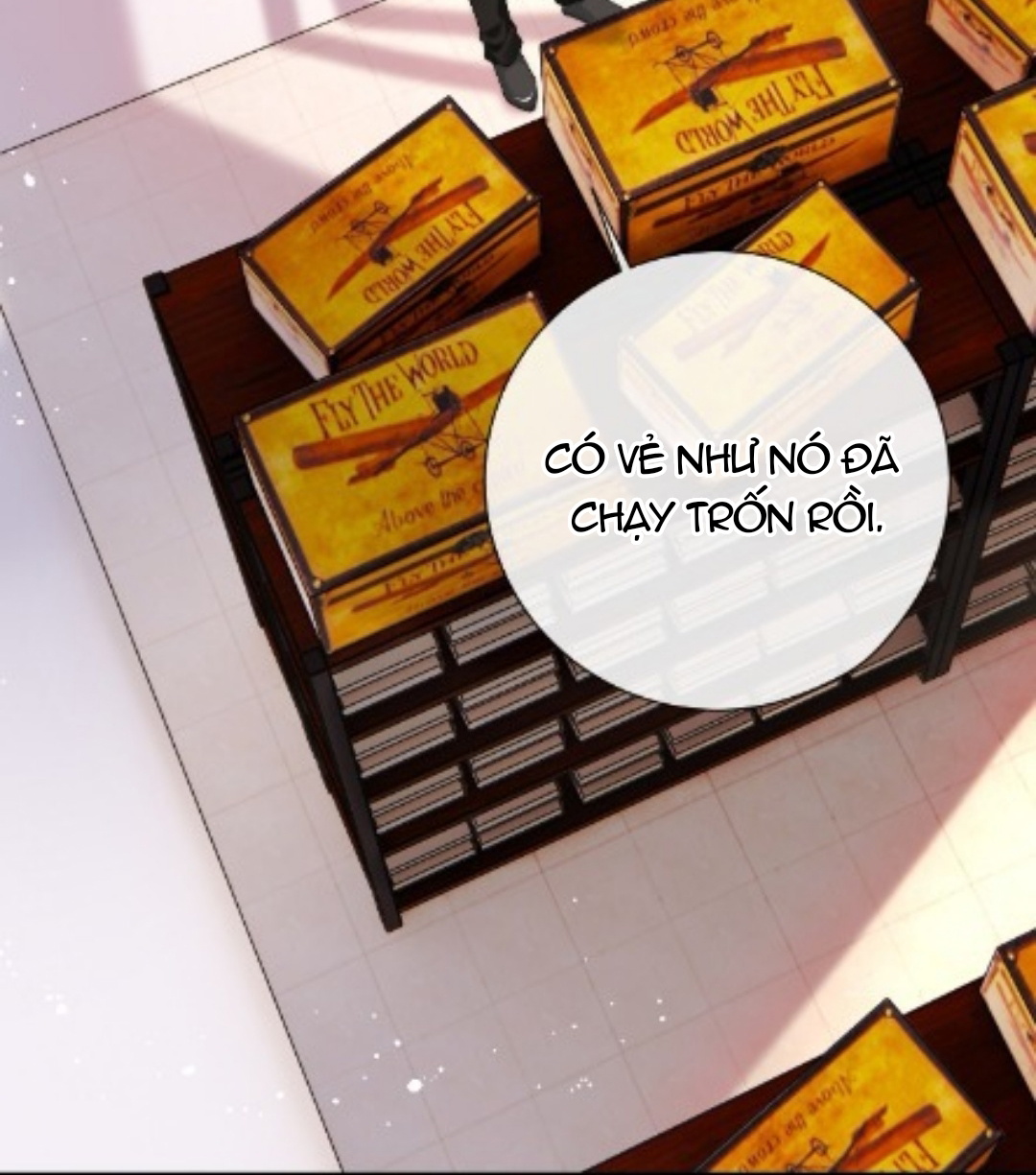 dao-thanh-mai-chap-8-7