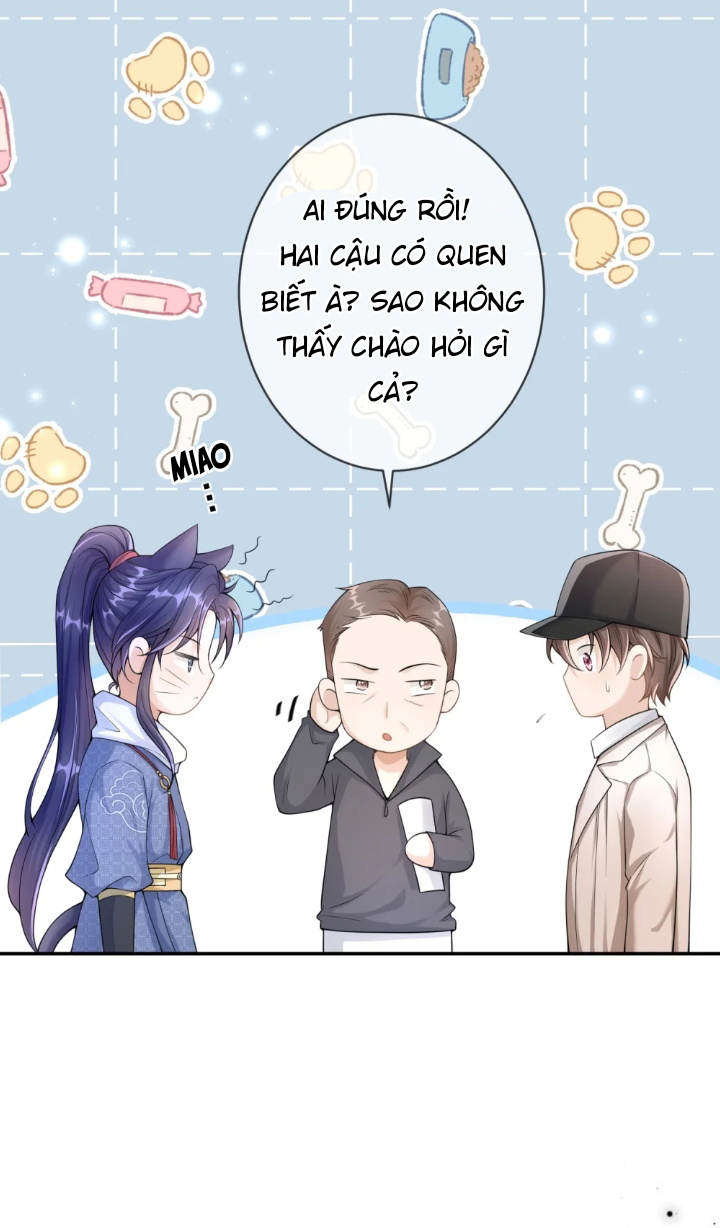 scandal-qua-nhieu-la-loi-cua-toi-u--chap-3-15