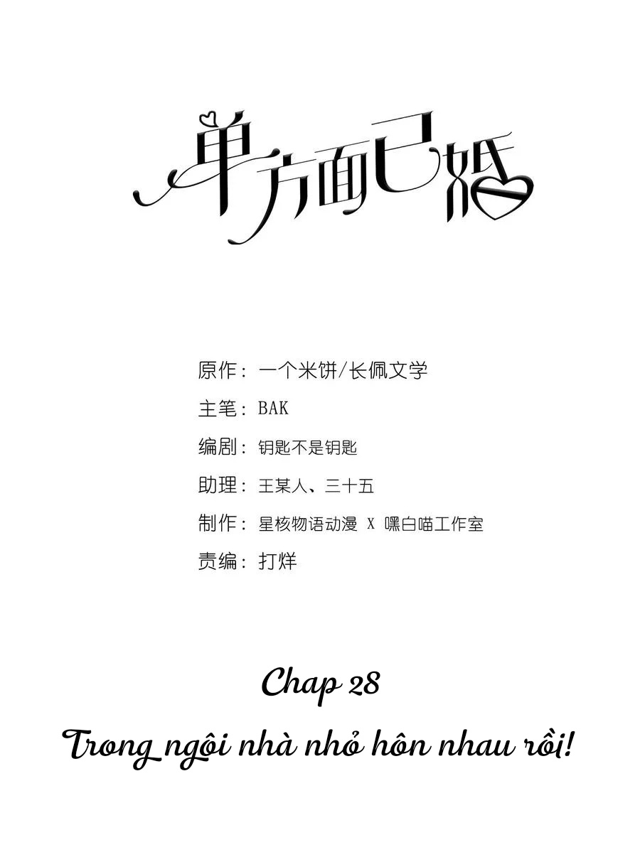 don-phuong-ket-hon--chap-28-0