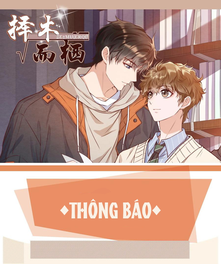 Trạch Mộc Nhi Tê Chapter 33 - Next Chapter 34