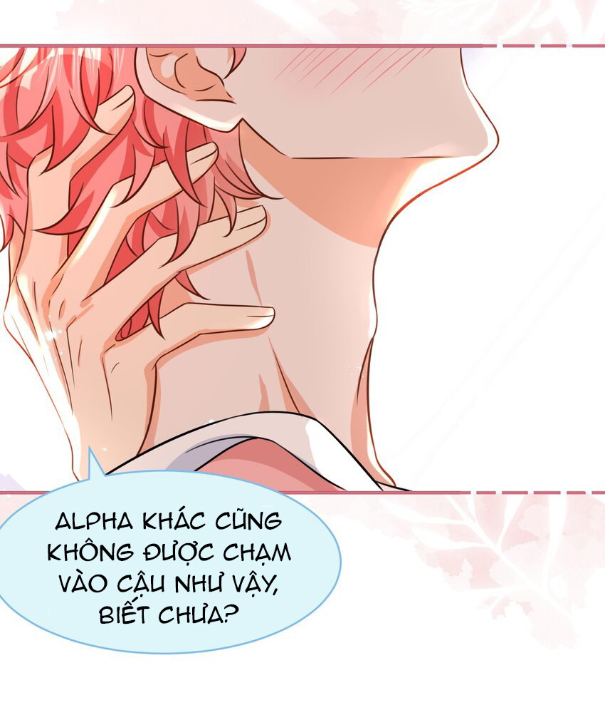 Tin Tức Tố Nói Chúng Ta Không Có Khả Năng Chapter 53 - Next Chapter 53.1