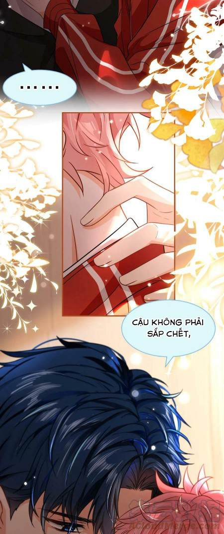 Tin Tức Tố Nói Chúng Ta Không Có Khả Năng Chapter 58 - Next Chapter 59