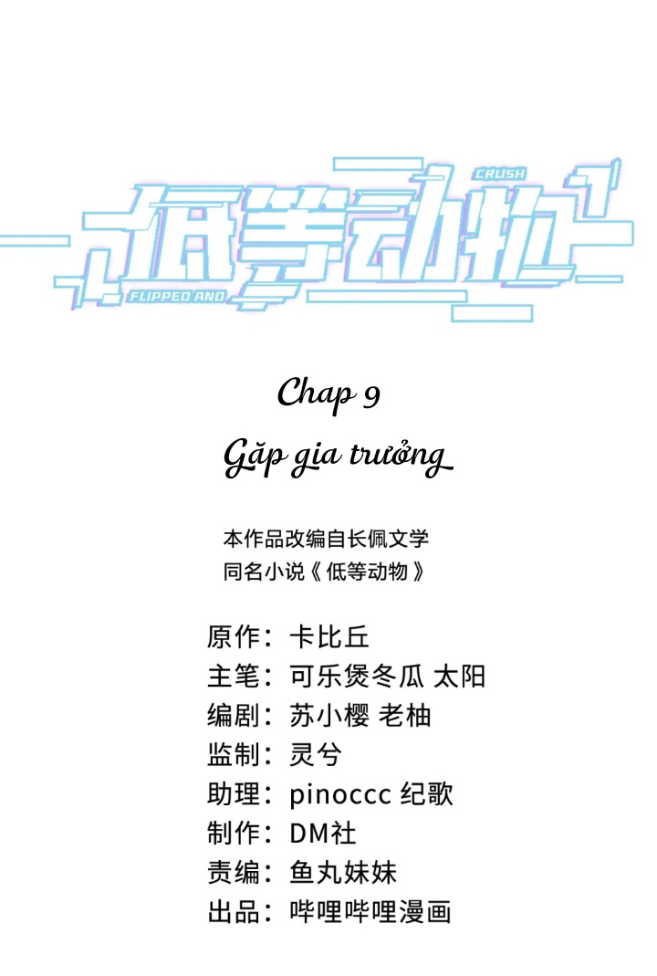 dong-vat-cap-thap--chap-9-1